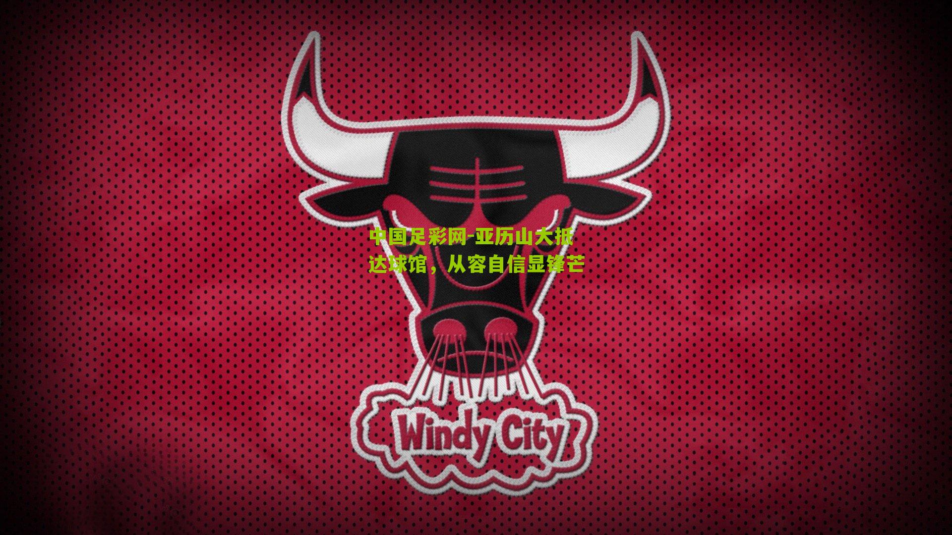 亚历山大抵达球馆，从容自信显锋芒